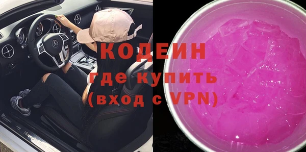 прущие грибы Богданович