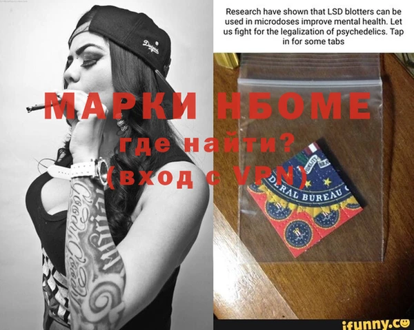 прущие грибы Богданович