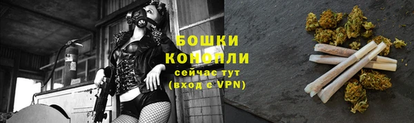 прущие грибы Богданович