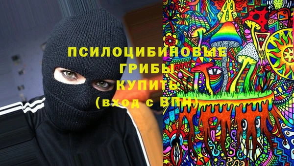 круглые Вязьма