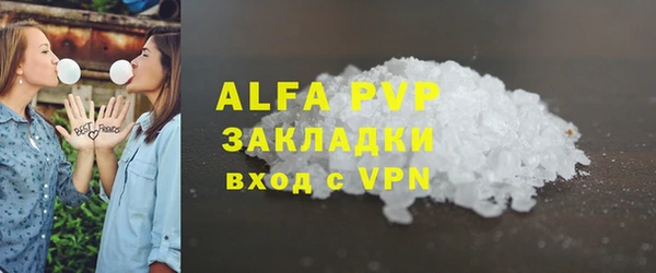 прущие грибы Богданович