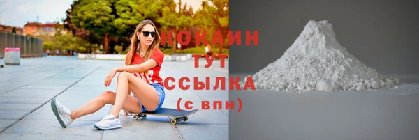 прущие грибы Богданович