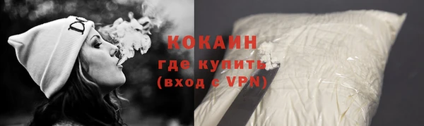 прущие грибы Богданович