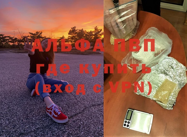 PSILOCYBIN Богородск