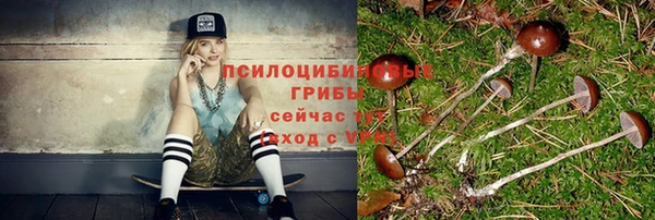 прущие грибы Богданович