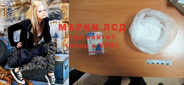 прущие грибы Богданович
