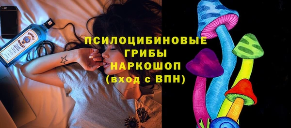 эйфоретик Аша