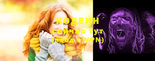 прущие грибы Богданович