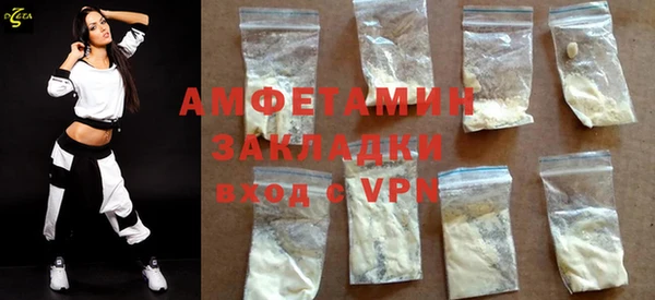 прущие грибы Богданович